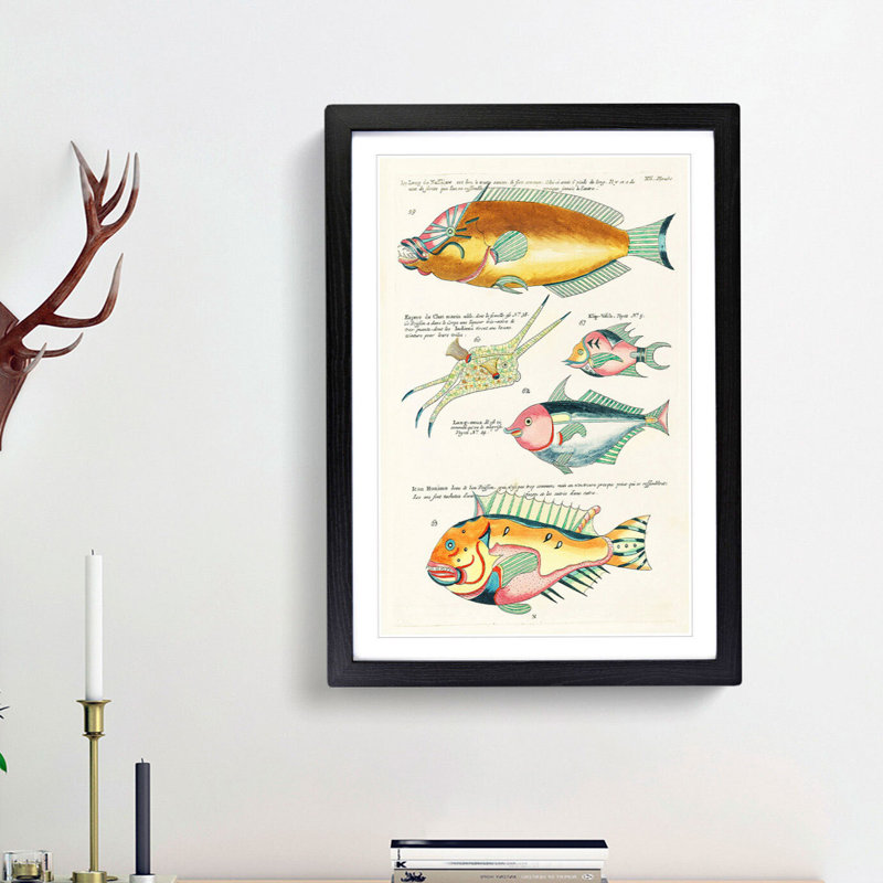 East Indies Fish Illustrations XIII by Louis Renard - Picture Frame Graphic Art Print, 48cm H x 36cm W x 2cm D, Black Framed