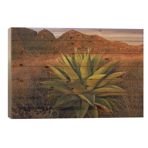 Union Rustic Agave Plants And Chisos Mountains Seen From Chisos Basin ...