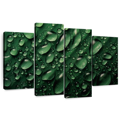 Harnek Leaf Water Droplets