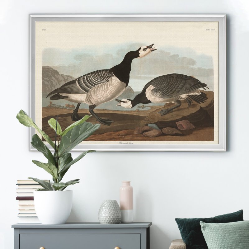 Barnacle Goose - reproduction d'art sur toile, Argent, H 22,5 po x l 30,5 po x P 1,5 po