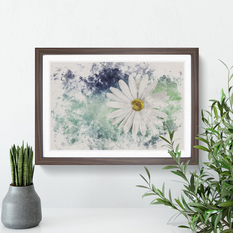 White Daisy Vol.2 - Picture Frame Graphic Art, 27cm H x 36cm W x 2cm D, Walnut Framed