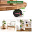 Amila Plant Stand