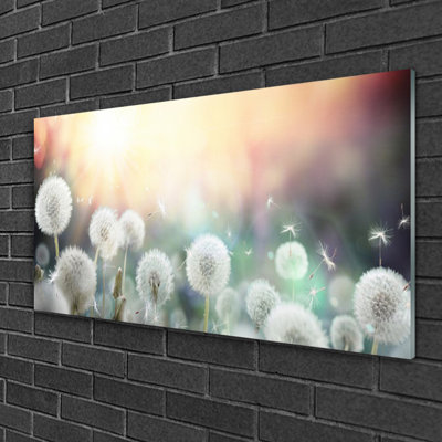 Dandelion - No Frame Print on Glass