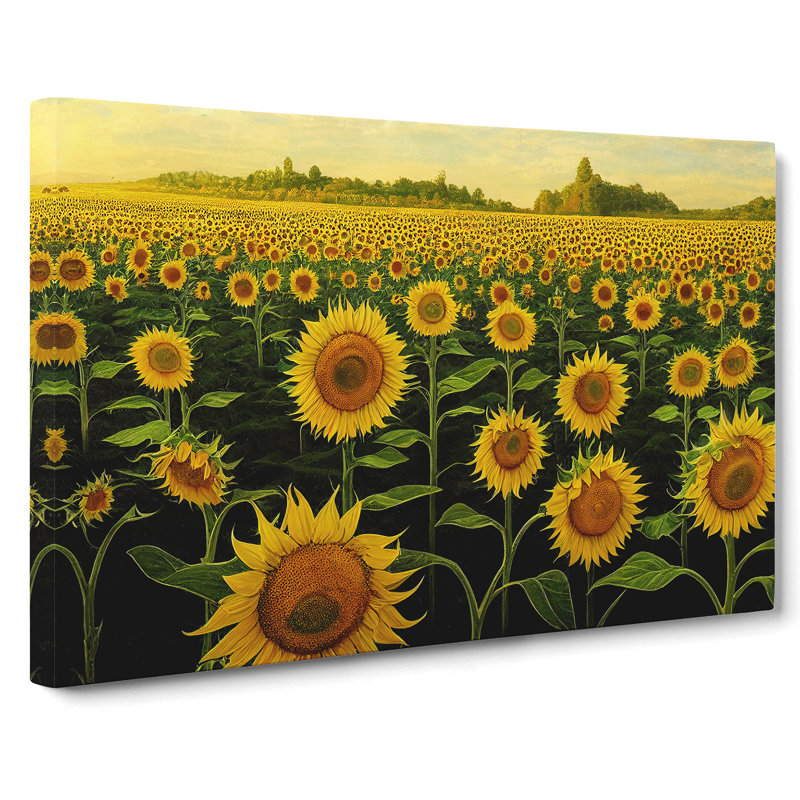Irresistible Sunflower Field - Wrapped Canvas, 40cm H x 60cm W x 3cm D