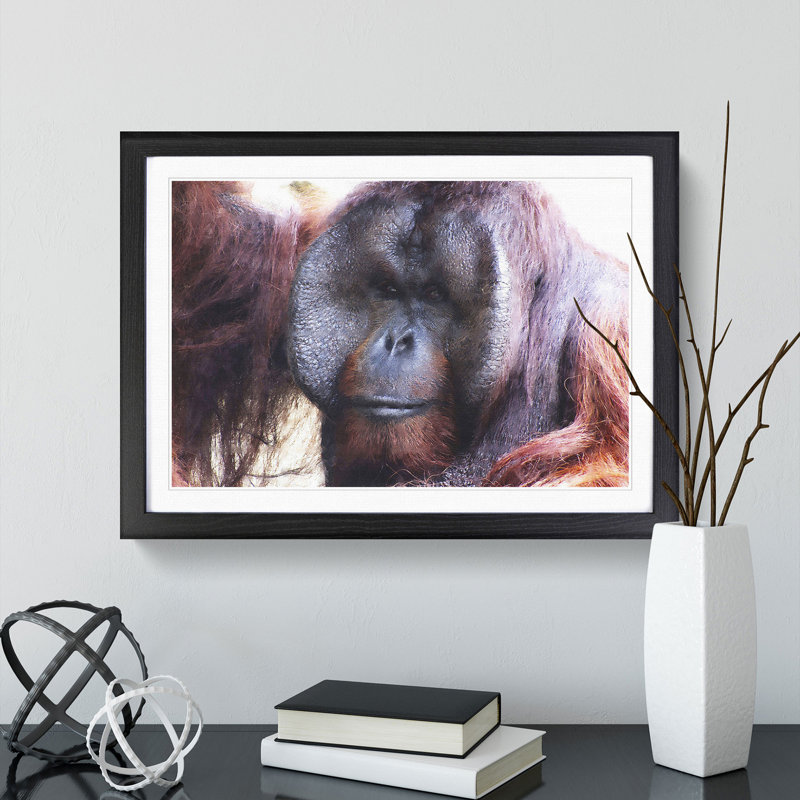 Orangutan Monkey Vol.2 - Framed Print, 27cm H x 36cm W x 2cm D, Black Framed