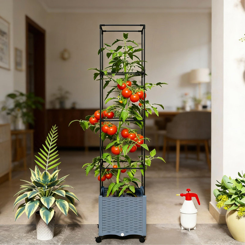 Lit de jardin mobile surélevé, cage à treillis à hauteur ajustable