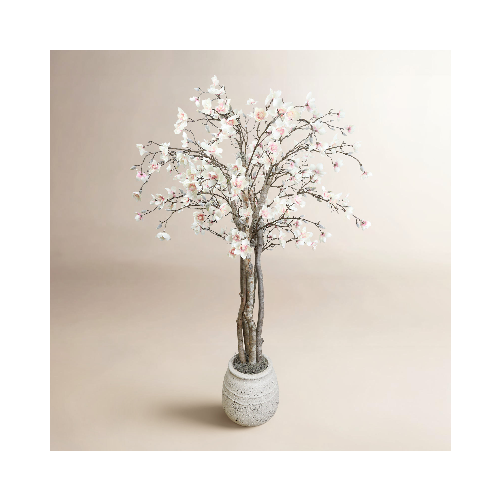 Magnolia Tree in Stone Pot