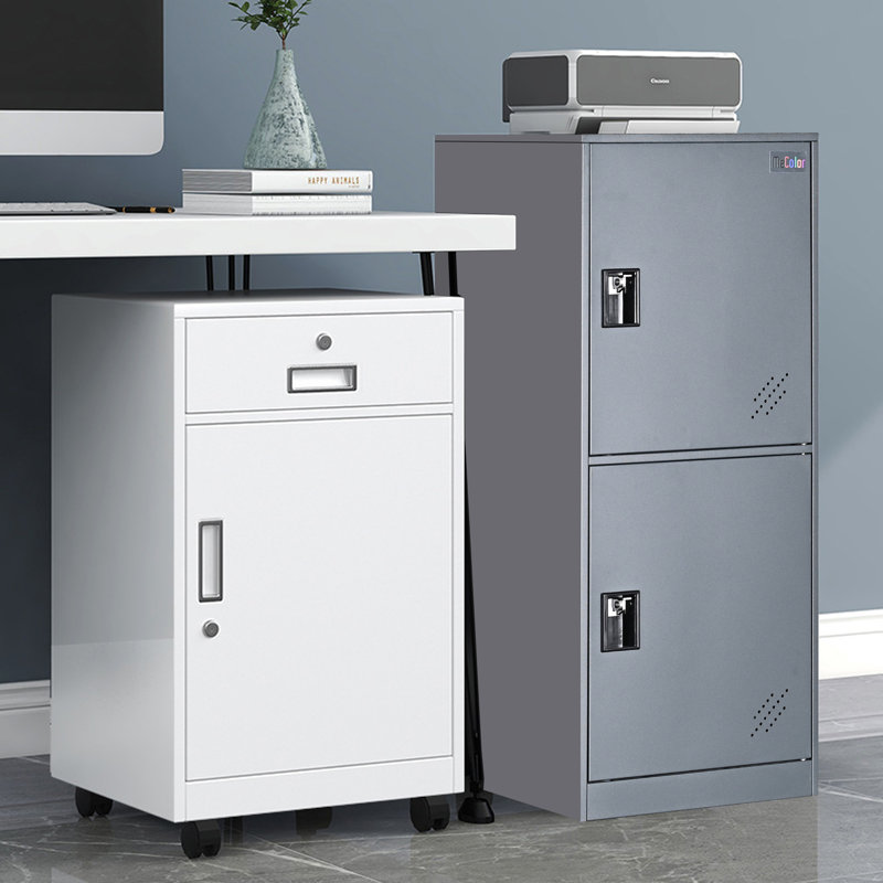 2 -Door Storage Cabinet