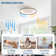 19" 7-Blade White Modern Ceiling Fan with Dimmable Color Changing LED and Remote Control