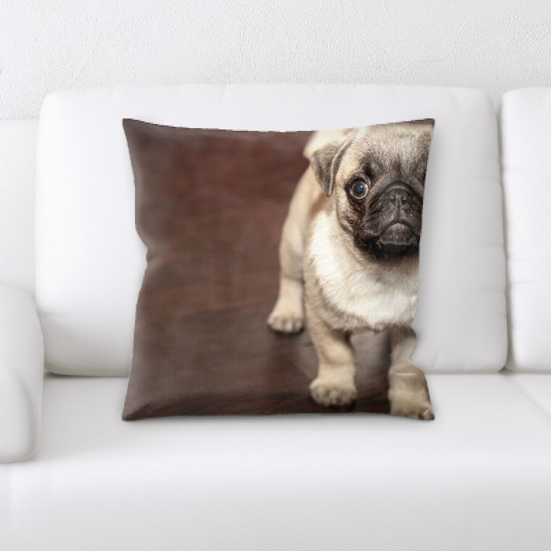 Coussin carlin
