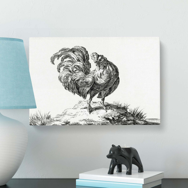 Sketch of a Rooster by Jean Bernard - Wrapped Canvas Drawing Print, 35cm H x 50cm W x 3cm D