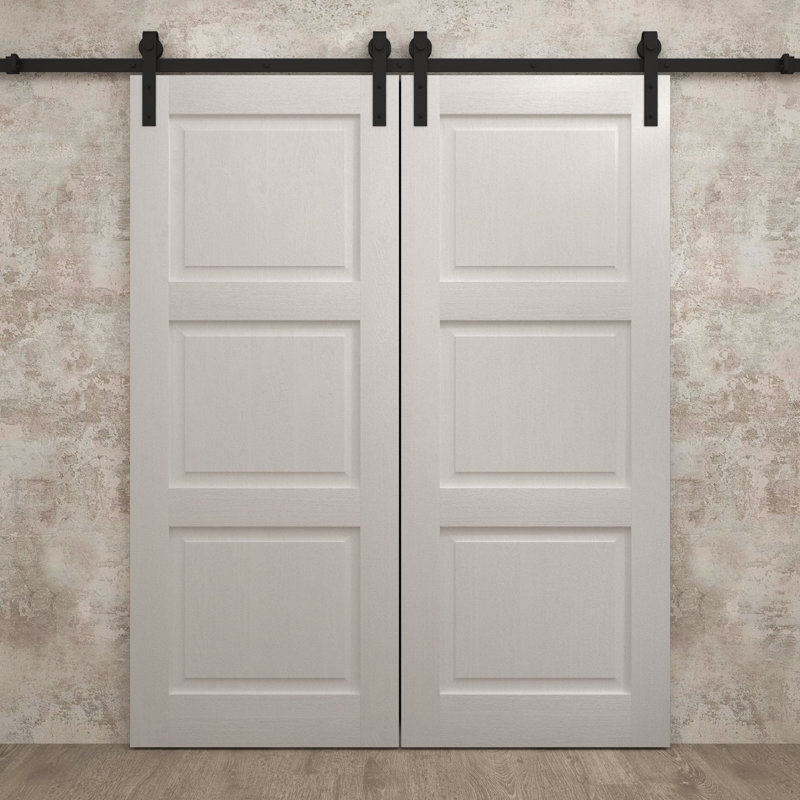 Porte de grange double moderne | Ego 5010 | Ensemble de rail | Portes intérieures solides, Chêne blanc peint, 60 po x 84 po