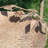 Emaliya Iron Birdbath