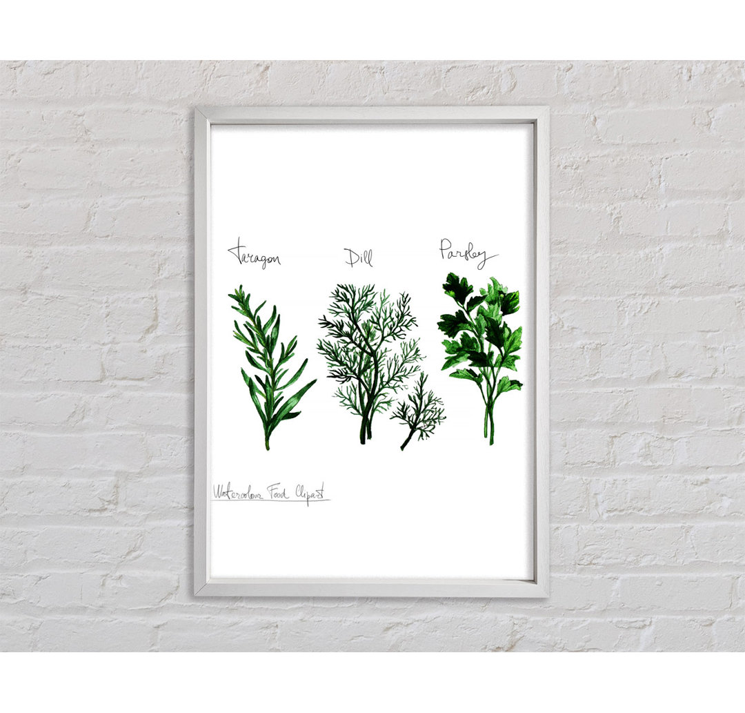 Herb Selection 1 - Einzelne Bilderrahmen Kunstdrucke auf Leinwand