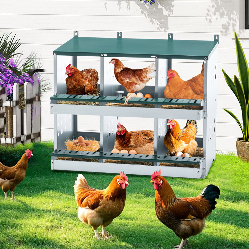 Boîte de nidification en acier galvanisé avec 6 compartiments pour la ponte des œufs de poule, poulailler bien conçu et protection, intérieur confortable, installation facile, 29 lb de construction en acier, inclinée