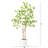 6ft. Artificial Maple Tree with White Planter