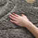 Chaffin Shag Performance Floral Rug