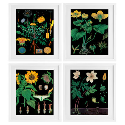 Botanical Illustration on 4pc, reproduction encadrée sous verre, design par Vintage Hustle