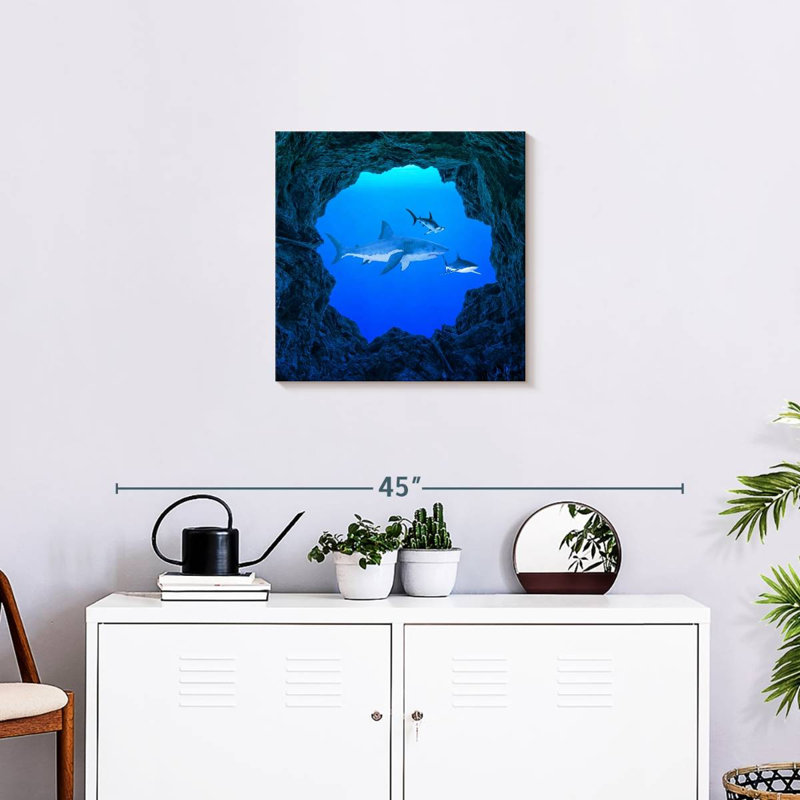 Brampt Sharks Ocean Hole, 20" H x 20" W