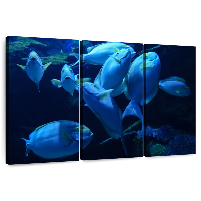 Brampt Underwater Yellowfin Surgeonfish, 32" H x 50" W