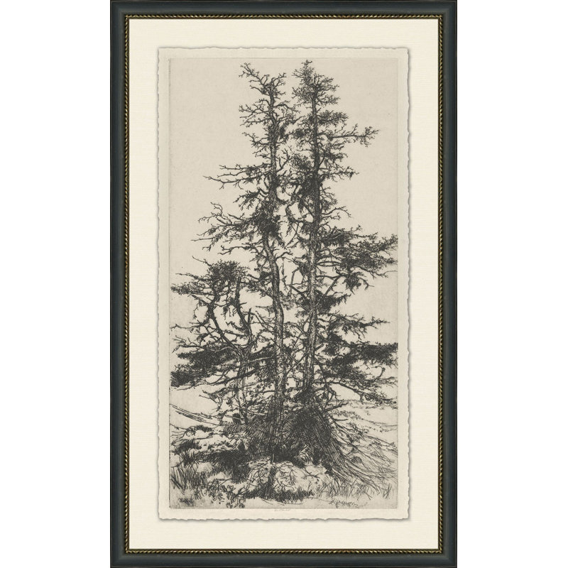 Tree Tops 3 Print