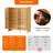 20 Pair Shoe Storage Cabinet