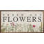Fleurs fraîches coupées à la chaux-463927485
