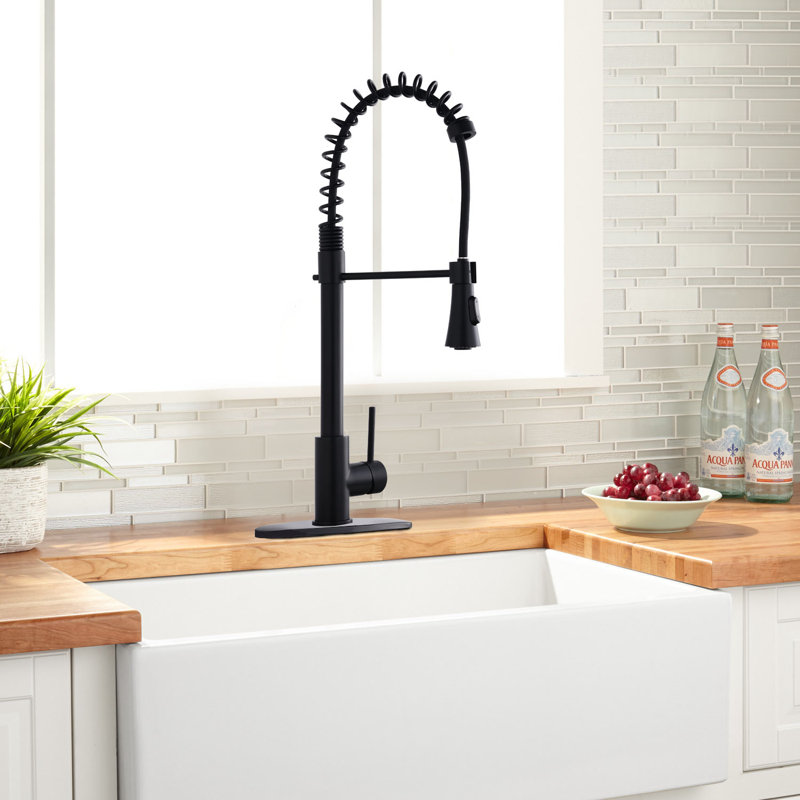 Robinet de cuisine à poignée simple avec accessoires Spring, Noir mat