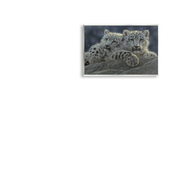 Snow Leopard Cuddle Wall Plaque, design by Collin Bogle