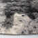 Botsford Performance Abstract Rug