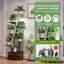 Plant Stand - Set of 2