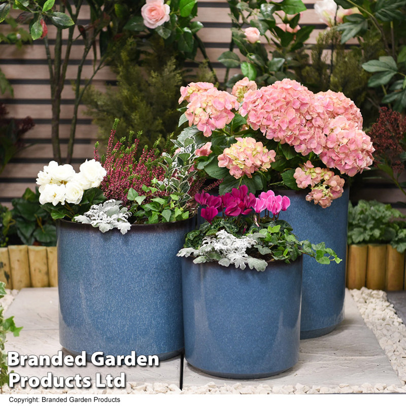 Placidia Pot Planter, 31cm H x 31cm W x 31cm D