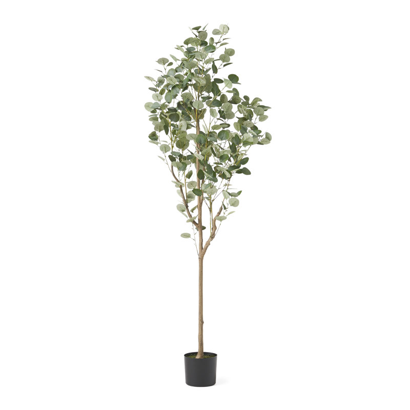 Aanya Faux Eucalyptus Tree in Pot, 71" H x 31" W x 27" D