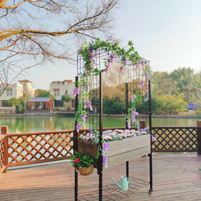 Vertical Garden with Trellis