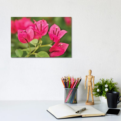 Pink Flowers - Wrapped Canvas Print