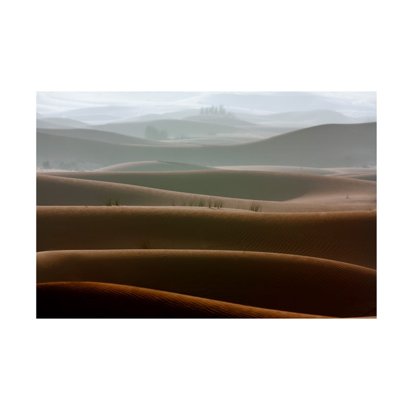 «Foggy Morning» sur toile, L 19 po x H 12 po