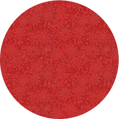 Indoor Rug