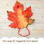 Grandes feuilles d'automne