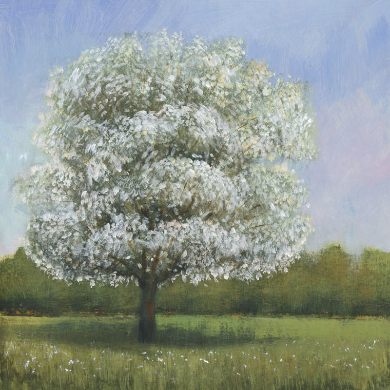 «Spring Blossom Tree I» par Timothy O 'Toole - peinture sur toile tendue, H 12 po x l 12 po