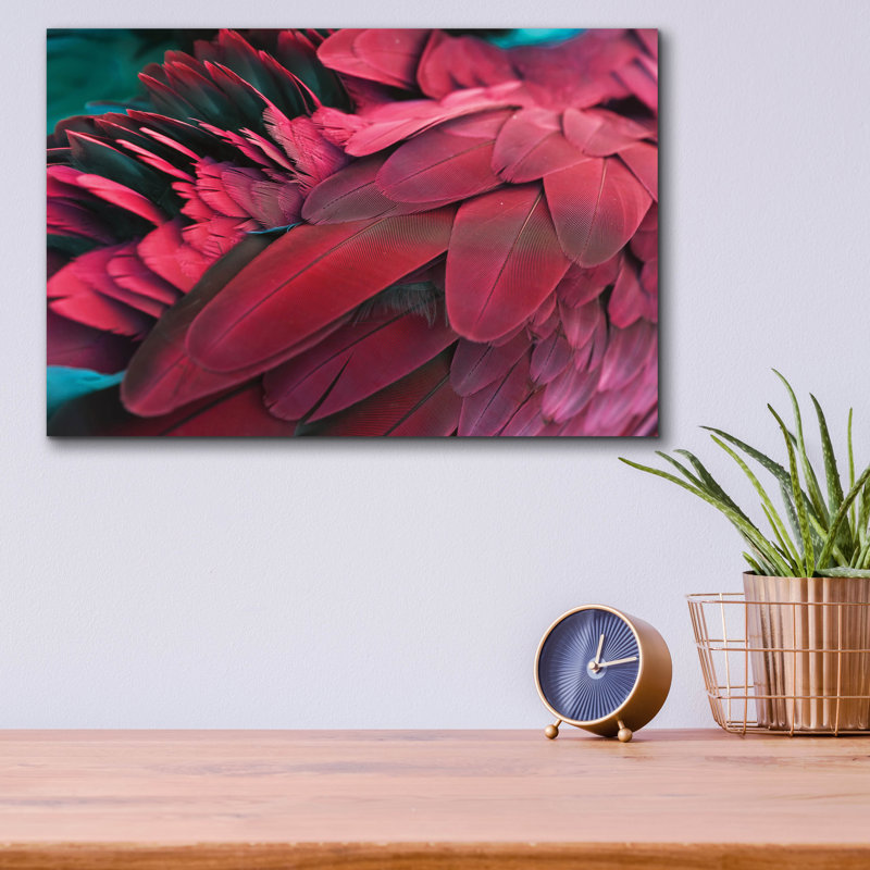  «Feather» par Photoinc Studio, art mural en verre acrylique, 24 po x 16 po, H 12 po x l 16 po x P 0,13 po