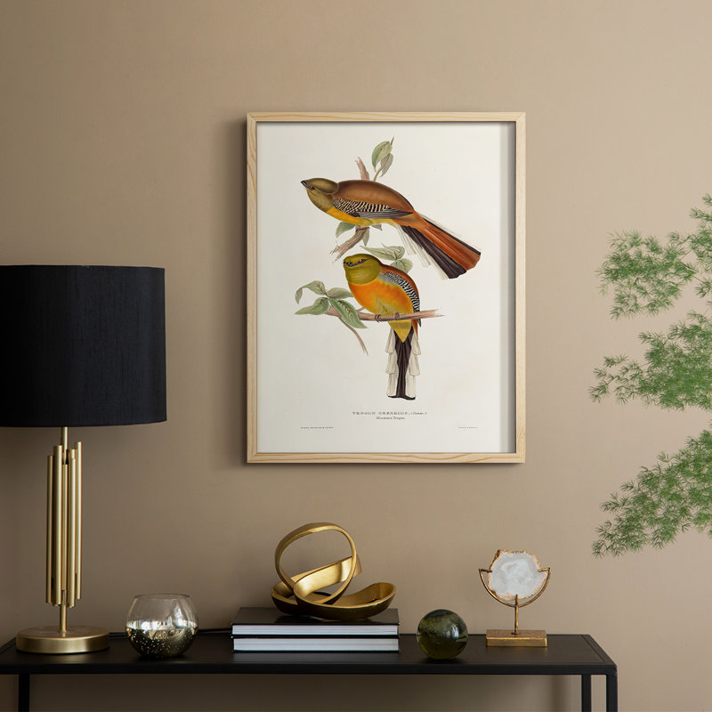 ElegantTrogonsII Framed Print - Solid Wood, 11" H x 9" W