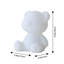 DIY Bear Night Light Craft Painting Kit