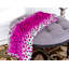 Couverture luxueuse à imprimé zébré-703814842-803266433
