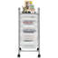 Stoke Bishop 75 cm H x 33 cm W Utility Cart-225501189