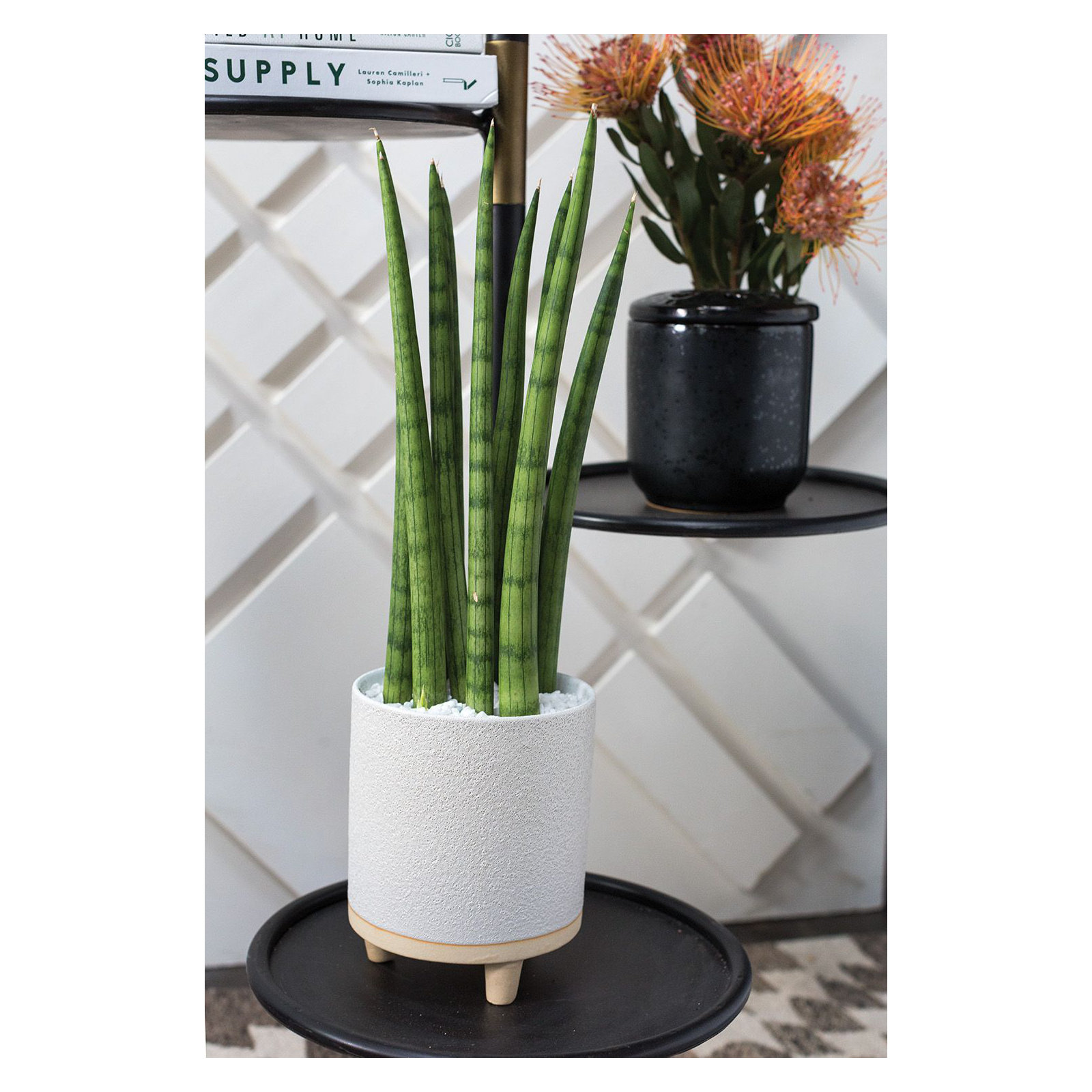 Fenna Handmade Ceramic Pot Planter, 6.75" H x 5.5" W x 5.5" D