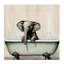 Baby Elephant Bathtime Canvas, design by Sasha-598093022