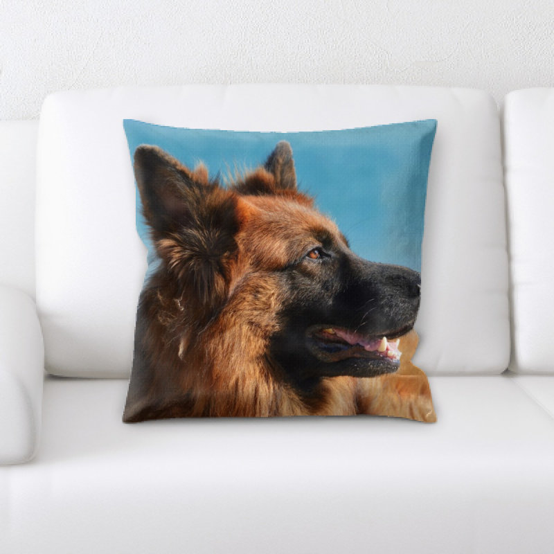 Coussin pour chien