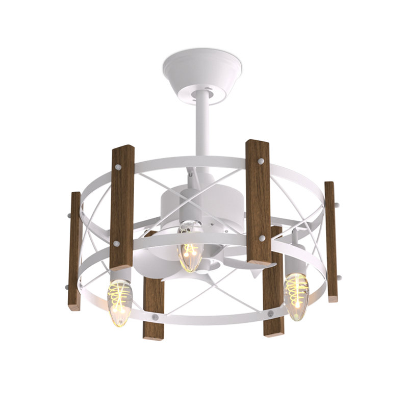 Vayden 19" Caged Ceiling Fan with Optional Light Kit Remote Control and 3-Speed Settings Low-Noise Farmhouse Ceiling Fan for Living Room Bedroom Kitchen and Dining Room