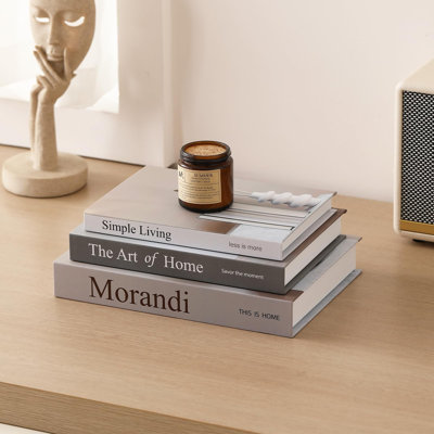 Ensemble de 3 livres décoratifs