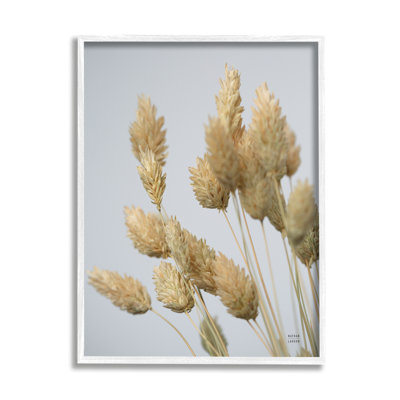 «Calm Pampas Grass Breezy Sky» par Nathan Larson - photographie sur bois